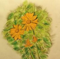 Crusin The Gulf - Flower Of Belize - Pastels